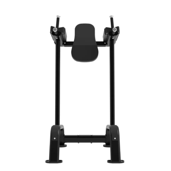 Elite Series Vertical Knee Raise Frame VKR 2