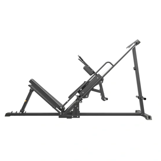 Pro Series Plate Loaded Hack Squat / Leg Press 2