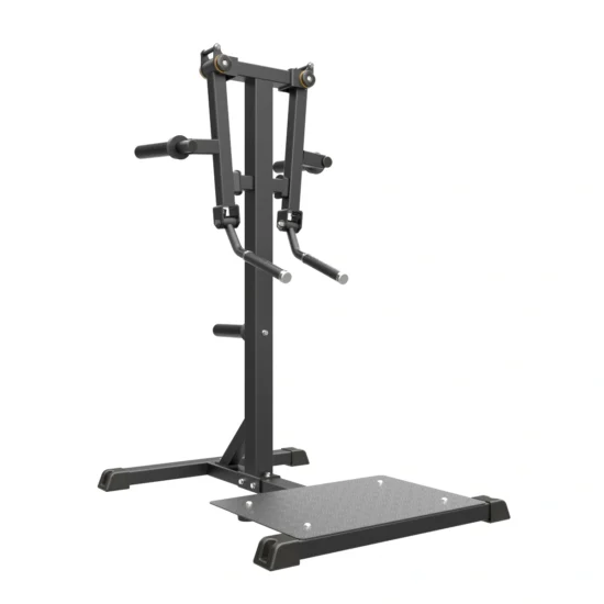 Pro Series Plate Loaded Lateral Raise 1
