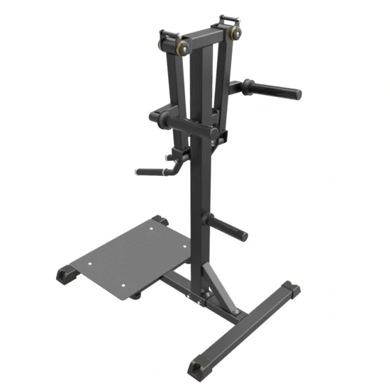 Pro Series Plate Loaded Lateral Raise 2