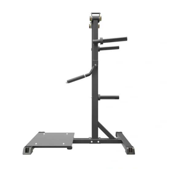 Pro Series Plate Loaded Lateral Raise 3