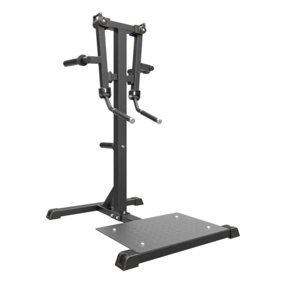 Pro Series Plate Loaded Lateral Raise 5