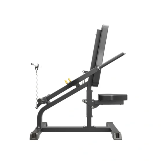 Pro Series Plate Loaded Bicep / Tricep 2