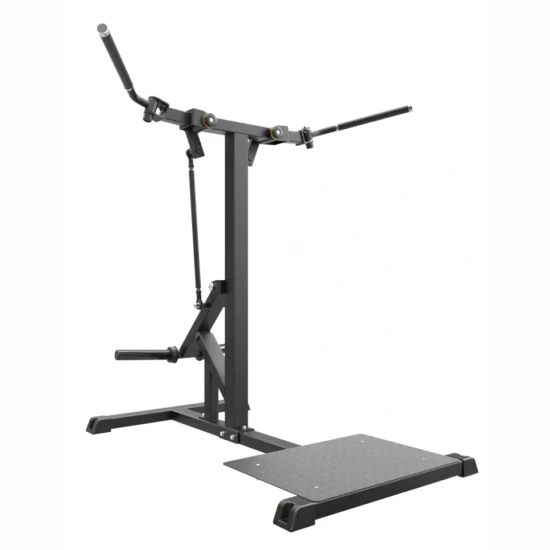 Pro Series Plate Loaded Standing Chest Fly 1